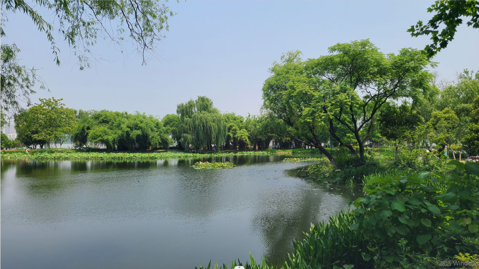 微信截图_20230515101718.png